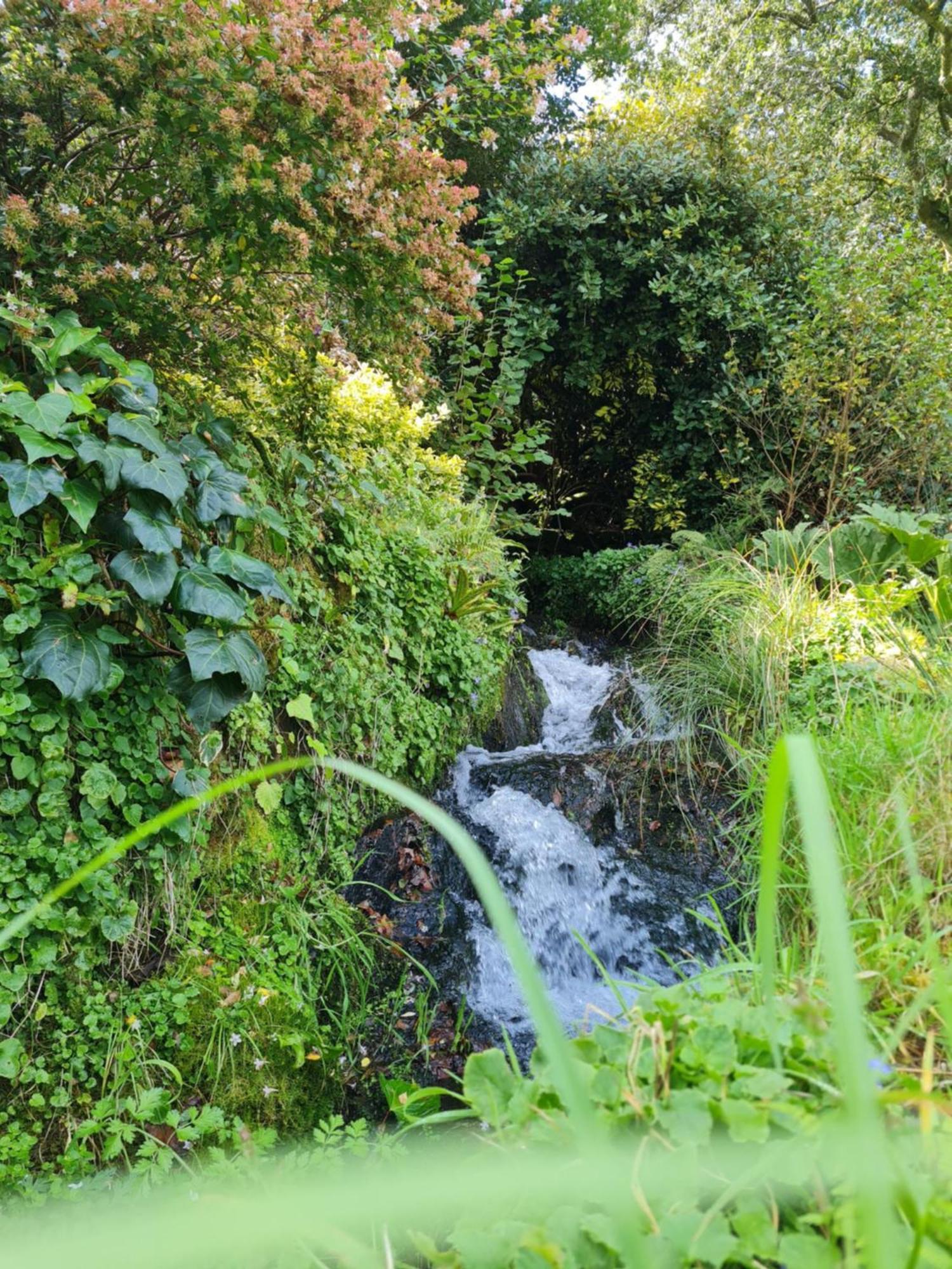 Moulin De Bonnescat Villa Plogonnec ภายนอก รูปภาพ
